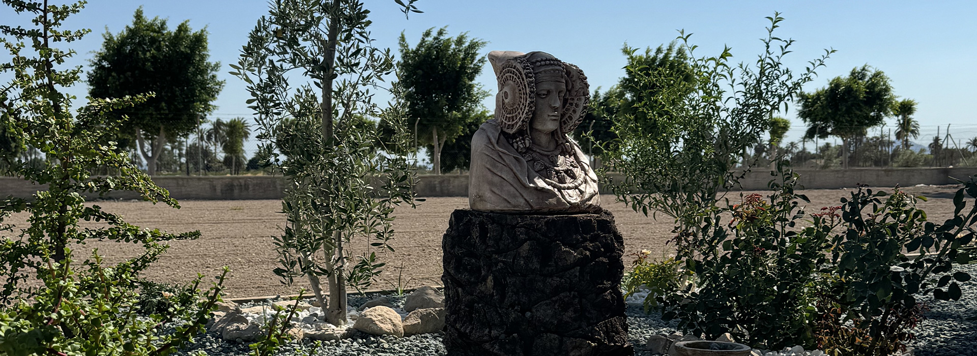 imagen Contacta con nosotros