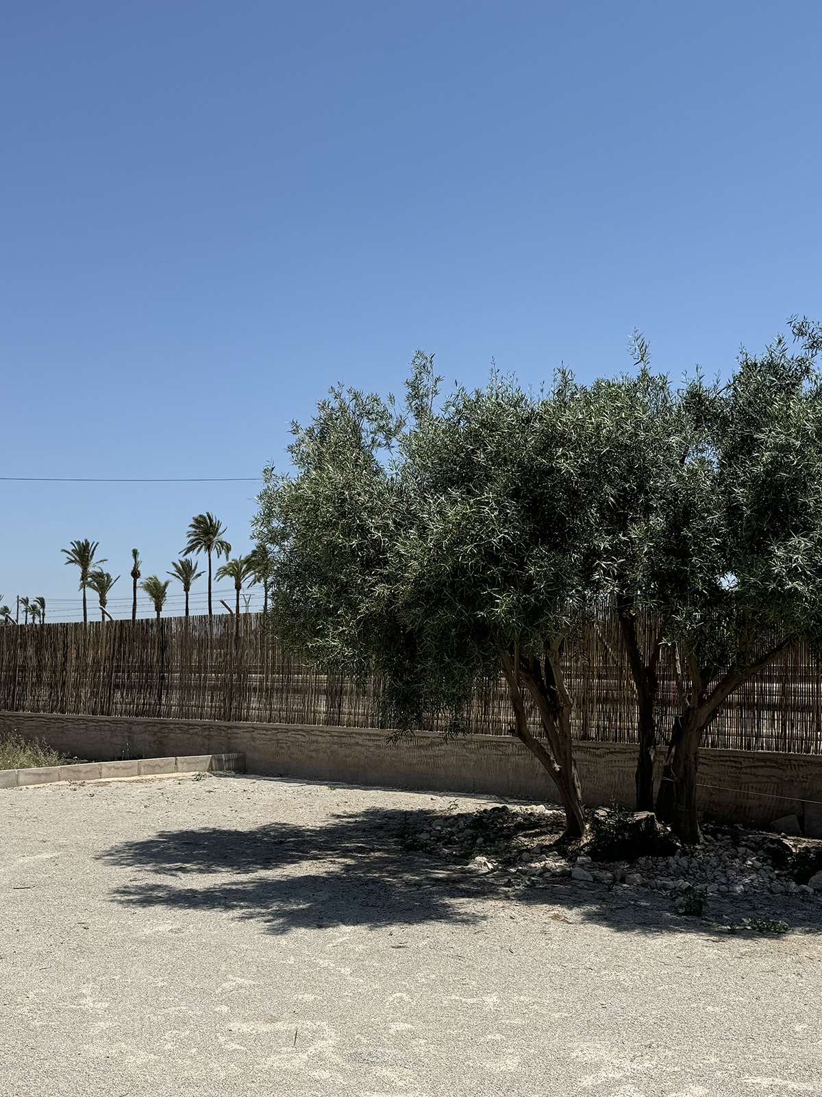 imagen principal Un entorno tranquilo, con historia… y muy bien conectado